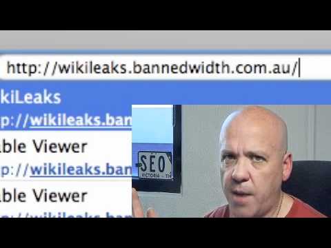 Wikileaks Talk About Duplicate Content